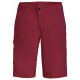 Men's Ledro Shorts