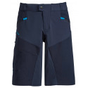 Men's Virt Shorts