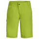 Men's Ledro Shorts