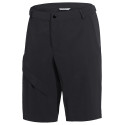 Men's Tamaro Shorts III