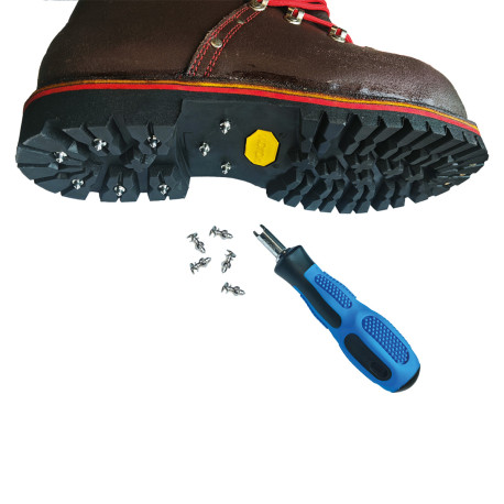 Pointes pour chaussures Ã&nbsp; visser