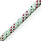 CORDE DE RETENTION DRACO 16 mm ROUGE 83 KN