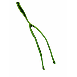 LONGE Y ARO ADVENTURE 85 cms Vert