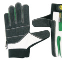 GANTS